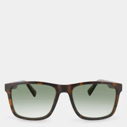 ACCESSORI MARRONE FGX-UO-4473 02 BRW