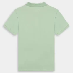 Chest Logo SS- T-SHIRT CAMEO GREEN TB0A2BS1ENE1