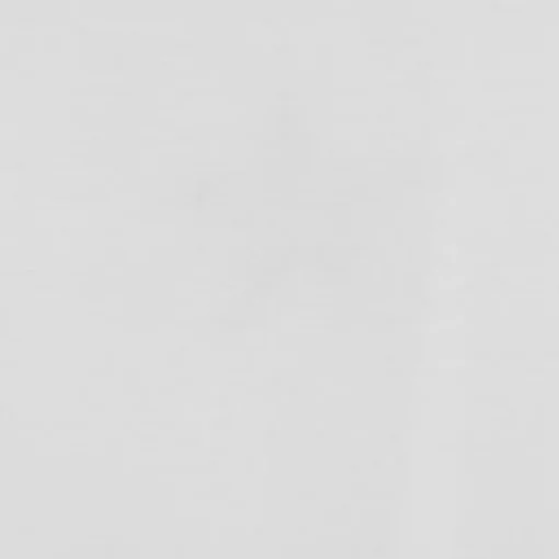 CT PATC- T-SHIRT BIANCO 10026362