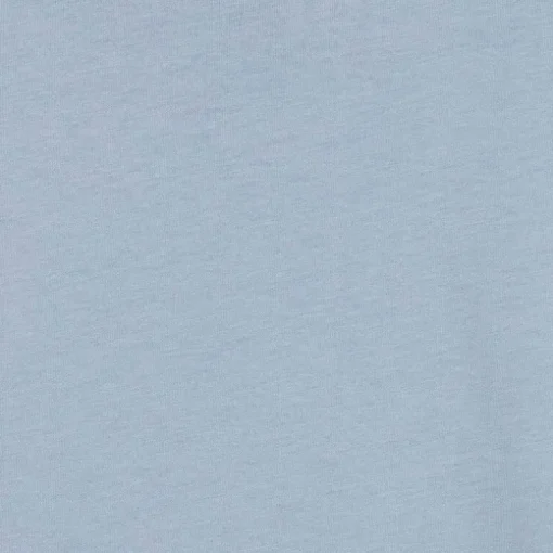 ESS GR- T-SHIRT CELESTE WT31507
