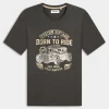 LIONEL- T-SHIRT ASPHALT 12259765