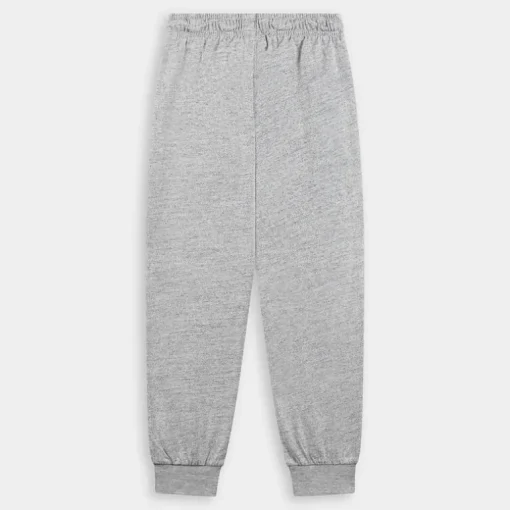 PANTALONI GRIGIO 307051