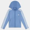 3S FZ HD- MAGLIE E FELPE BLU IC3636