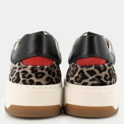 SNEAKERS TORTORA / NERO / ROSSO .