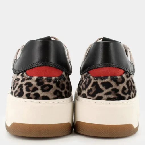 SNEAKERS TORTORA / NERO / ROSSO .