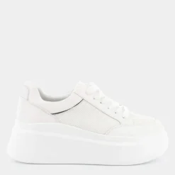 SU SOFT- SNEAKERS GESSO XM-E24D-04