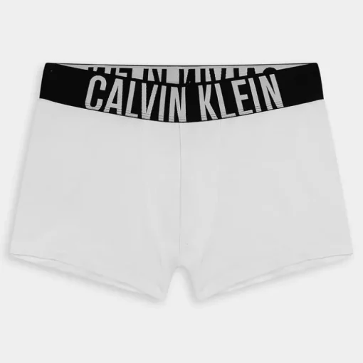 TRUNK 3PK- INTIMO WHITE 000NB3608A