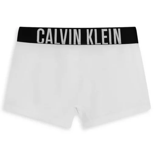 TRUNK 3PK- INTIMO WHITE 000NB3608A