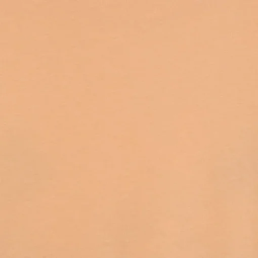 ZION TEE- T-SHIRT APRICOT ICE 12247808