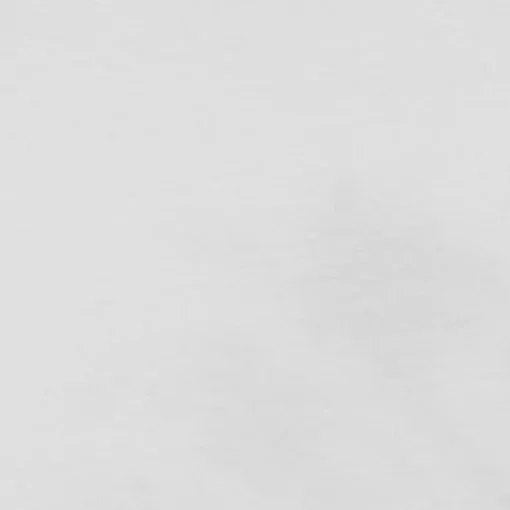 ZION TEE- T-SHIRT WHITE 12247808